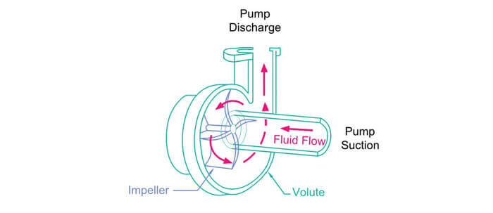 end suction centrifugal pump cutaway